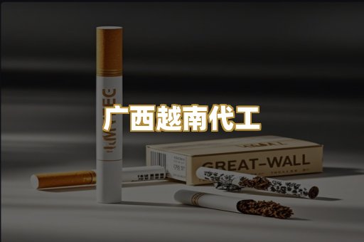 广西越南代工